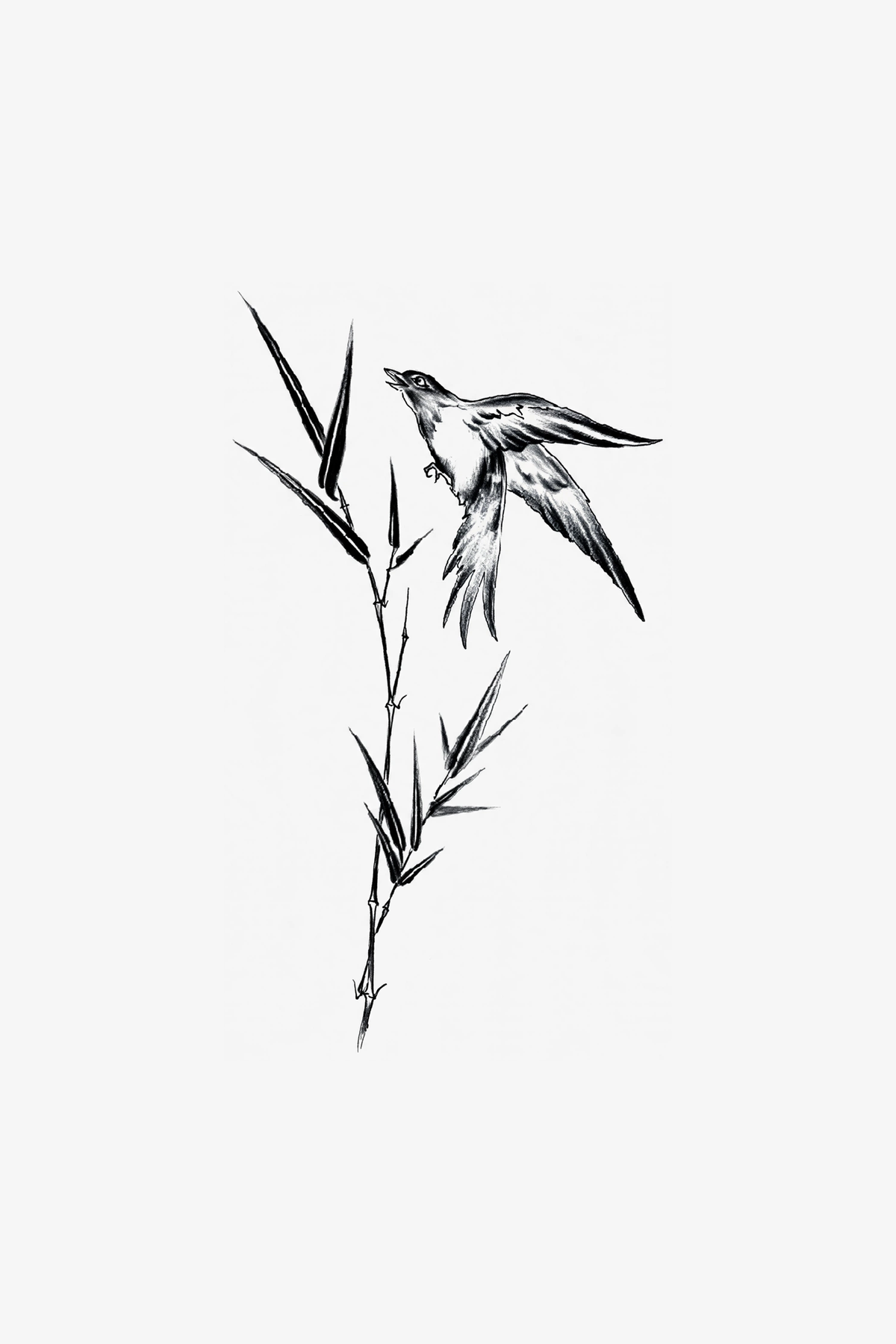 Hope Swallow